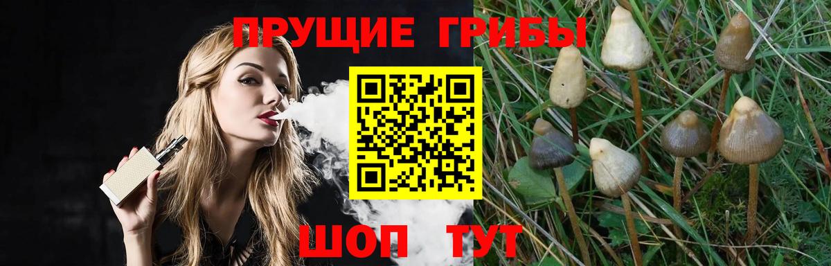 Барнаул  купить наркоту  Вход с VPN  Псилоцибиновые грибы мухоморы 